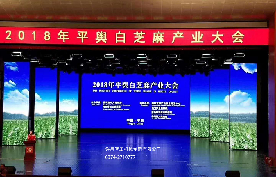 平輿芝麻大會(huì)開幕盛典