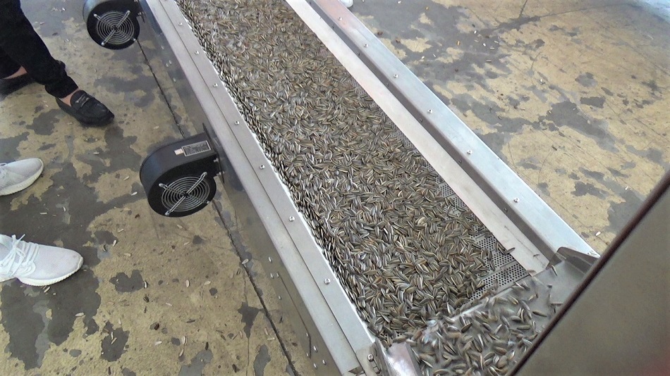 炒瓜子設(shè)備