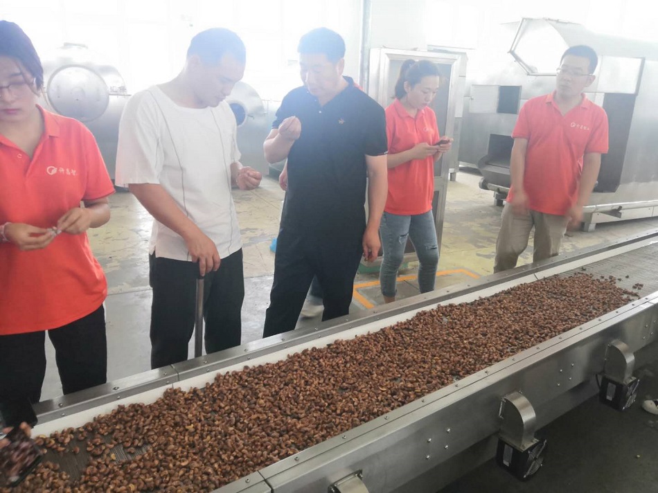 流水線炒貨機(jī)