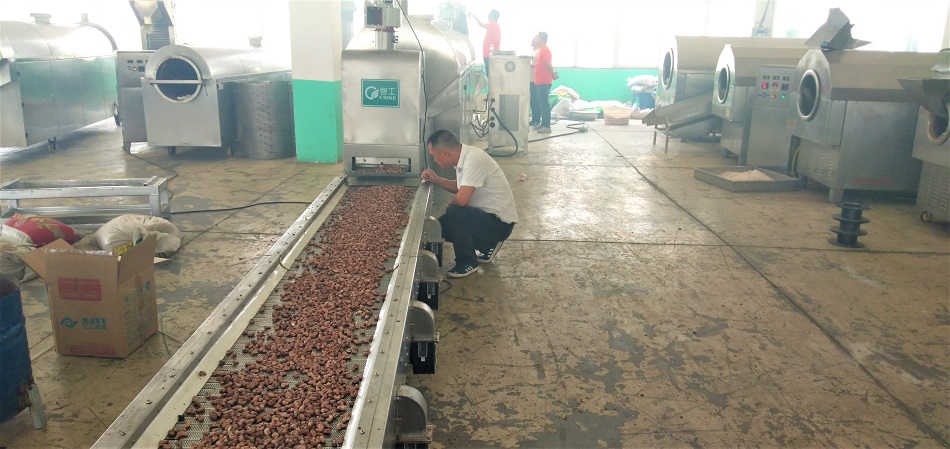 炒腰果設(shè)備