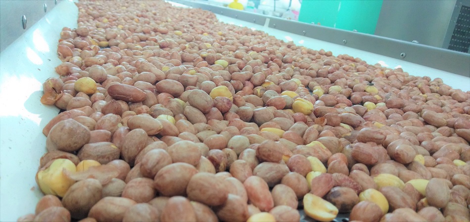 電磁炒貨機(jī)