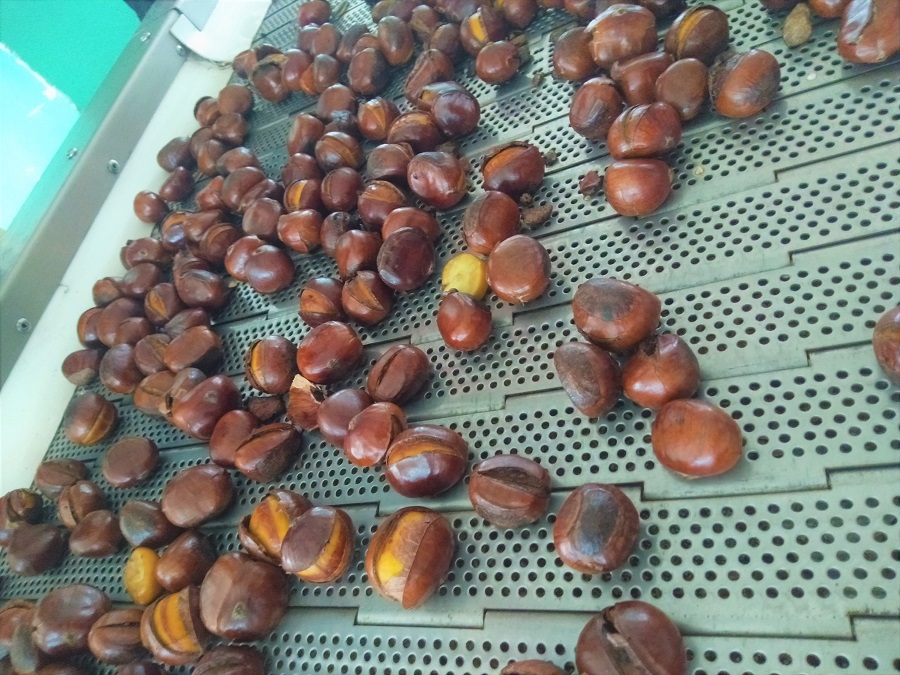 多功能炒貨機(jī)