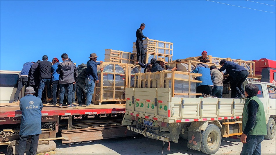 炒貨機(jī)廠家