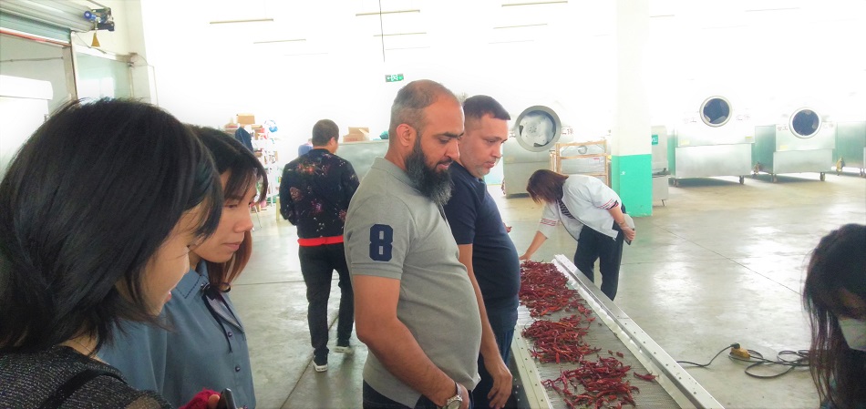 炒貨機(jī)廠家