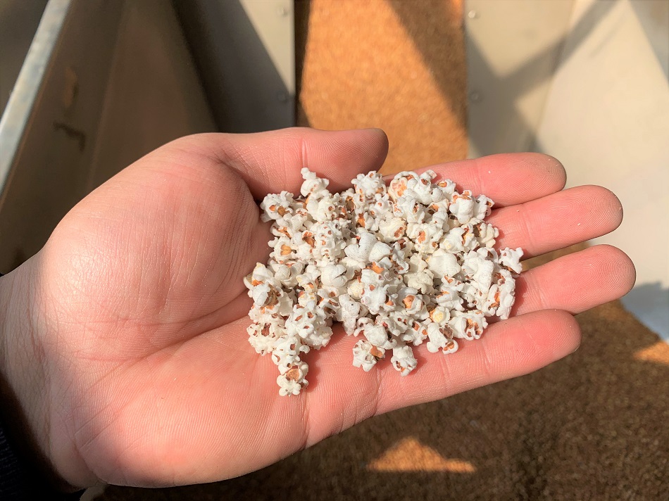 炒貨機(jī)廠家