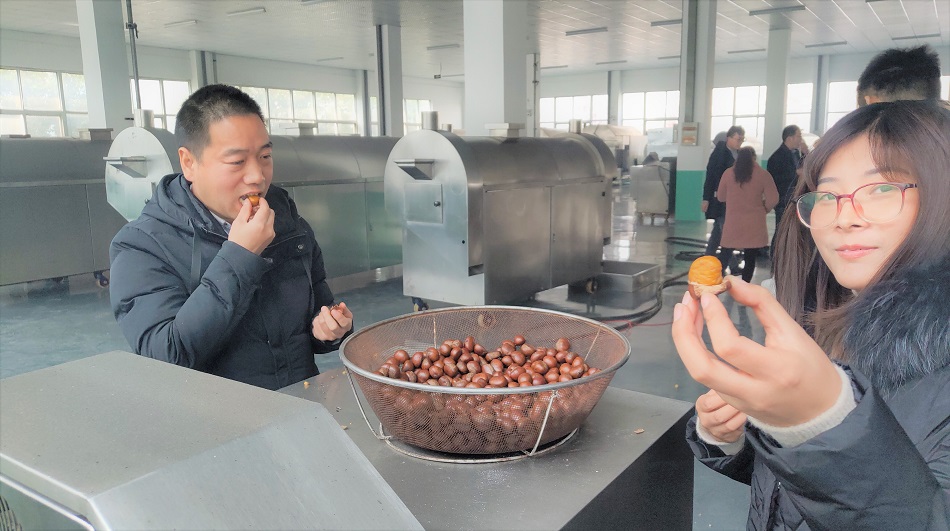 炒貨機(jī)廠家