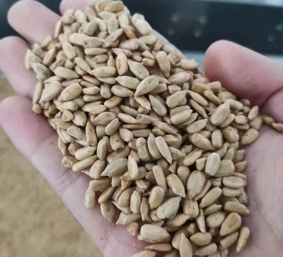 電磁炒貨機(jī)炒瓜子