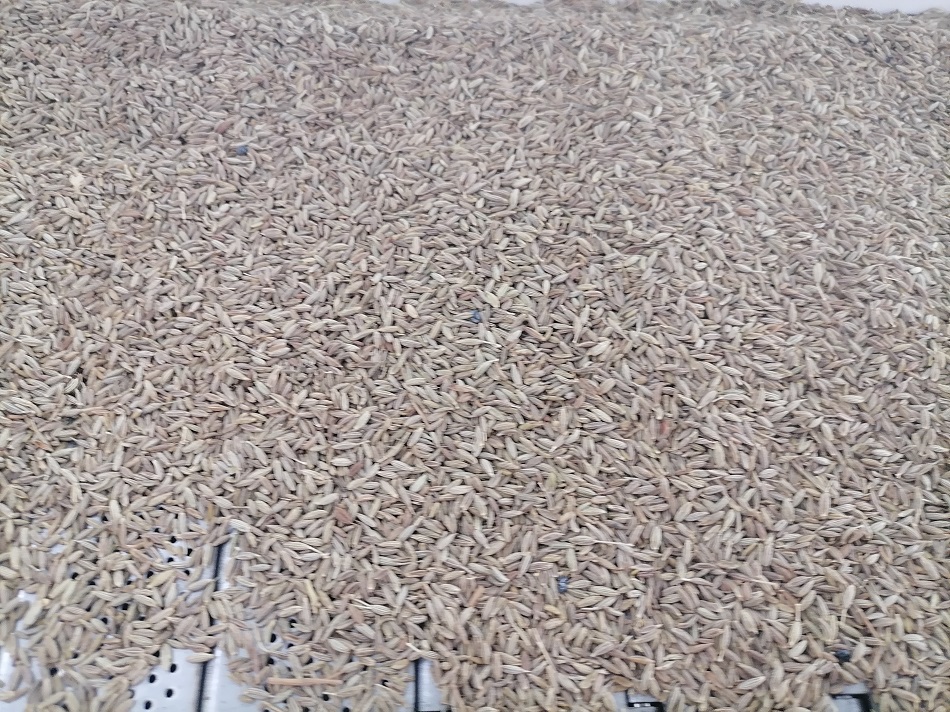 許昌智工電磁炒貨機(jī)