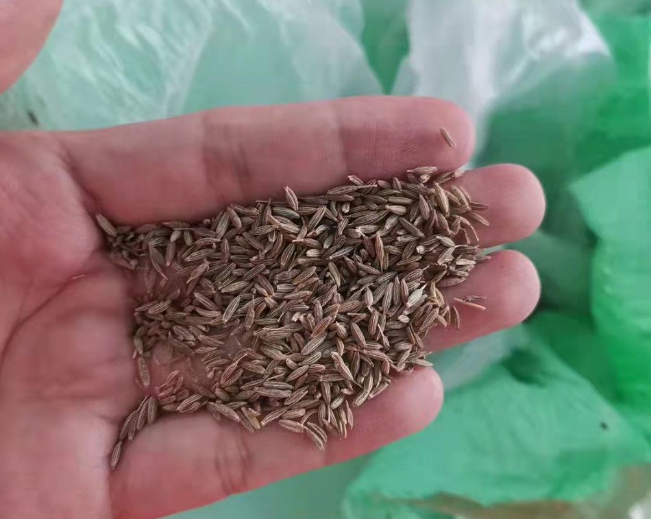 電磁流水線炒貨機(jī)