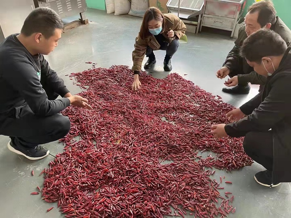 多功能炒貨機(jī)