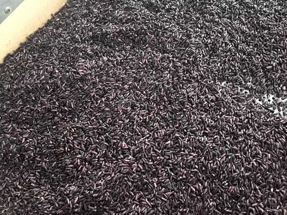 小型炒貨設(shè)備