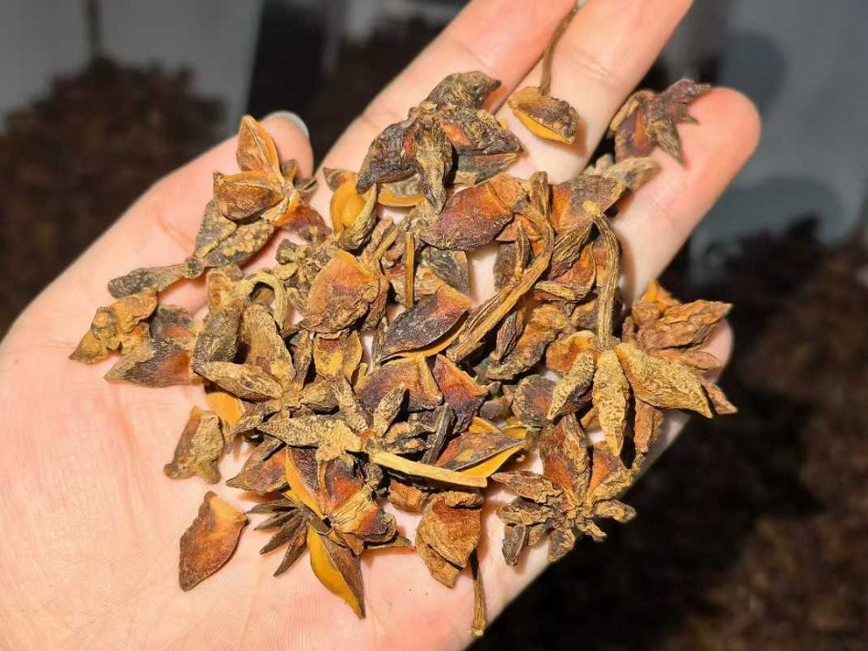 許昌智工電磁炒貨機